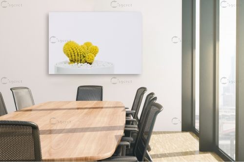 קקטוס צהוב - Artpicked - תמונות מעוצבות למשרד  - מק''ט: 329646