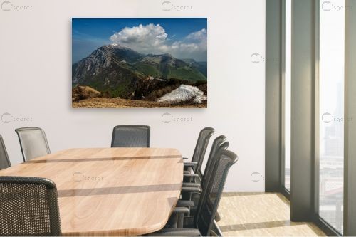 Italian Alp. Monte Baldo  - טניה קלימנקו -  - מק''ט: 331649