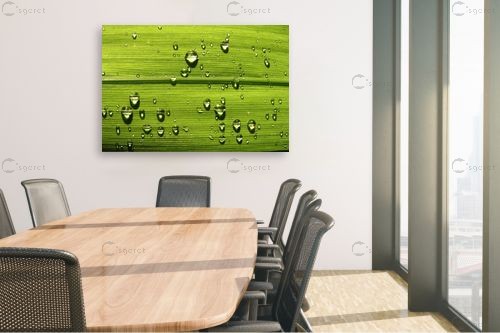 טיפות מגדלת – משה יפה | תמונה לקיר בסגנון מודרני