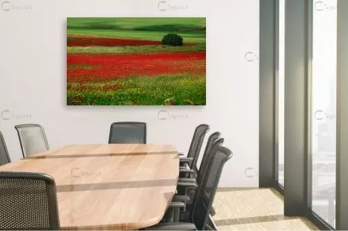 טבע ישראלי בהדרו - אורית גפני - תמונות צבעוניות לסלון נופים יפים תמונות בחלקים  - מק''ט: 415312