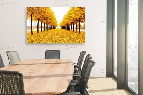 שדרת עצים מוזהבת – Artpicked | תמונה לקיר בסגנון כפרי