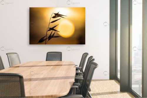 צללית מינימליסטית – רן גולן | תמונה לקיר בסגנון מודרני