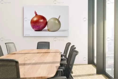 בצלים – קובי פרידמן | תמונה לקיר בסגנון מודרני