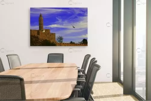 מגדל דוד - אלי נגר -  - מק''ט: 86820