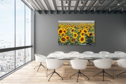 אין מילים... – מיכל פרטיג | תמונה לקיר בסגנון כפרי