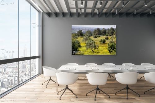 צבעי חורף – אייל ברטוב | תמונה לקיר בסגנון כפרי