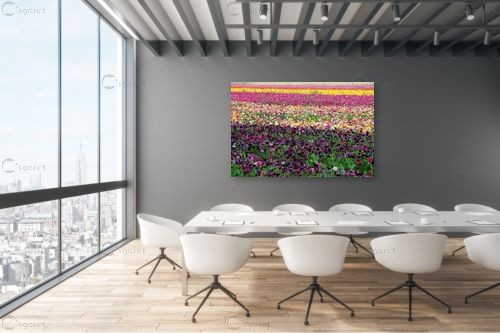 סגול כהה – אייל הצפון | תמונה לקיר בסגנון מודרני