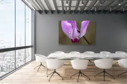 היהלום שבכתר.. – מיכאל שמידט | תמונה לקיר בסגנון מודרני