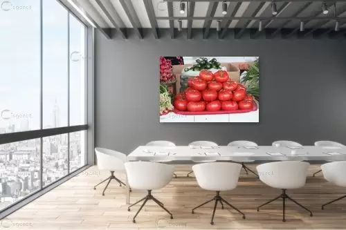 עגבניות במרכז - דן ששתיאל -  - מק''ט: 259106