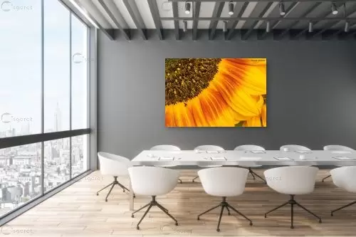 חמניה – איזבלה אלקבץ | תמונה לקיר בסגנון מודרני