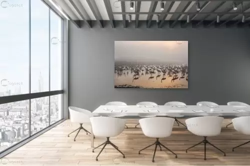 עגורים בערפל – איזבלה אלקבץ | תמונה לקיר בסגנון מודרני