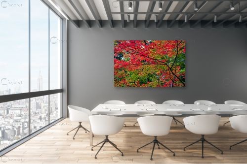 עץ בוער – דורית ברקוביץ | תמונה לקיר בסגנון כפרי