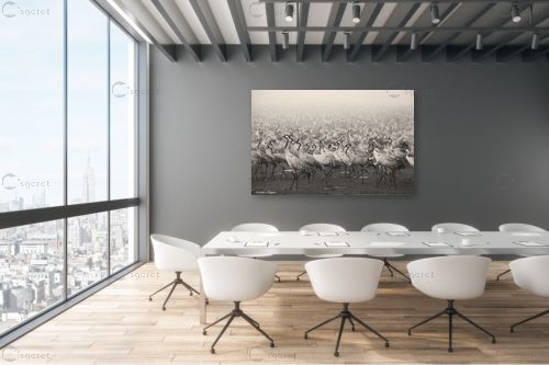 עגורים בערפל – איזבלה אלקבץ | תמונה לקיר בסגנון מודרני