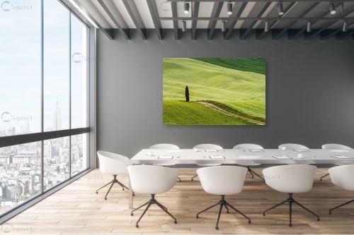 הברוש הבודד – דורית ברקוביץ | תמונה לקיר בסגנון כפרי