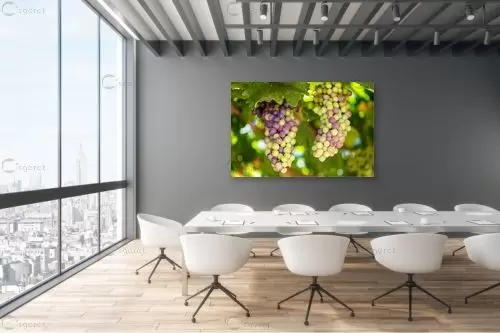 אשכול ענבים – טניה קלימנקו | תמונה לקיר בסגנון מודרני