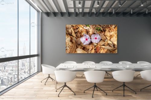 זוג – מיכל פרטיג | תמונה לקיר בסגנון כפרי