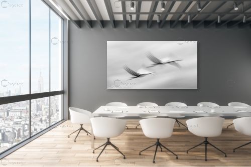 לעוף בזוג – דורית ברקוביץ | תמונה לקיר בסגנון מינימליסטי