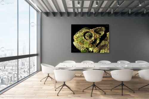 כמו דינוזאור – משה יפה | תמונה לקיר בסגנון ריאליסטי