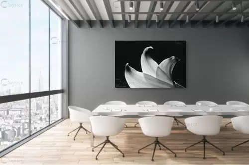 טקסטורה – שרית סלימן | תמונה לקיר בסגנון מודרני