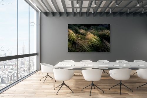 ברוח – אילן עמיחי | תמונה לקיר בסגנון מודרני