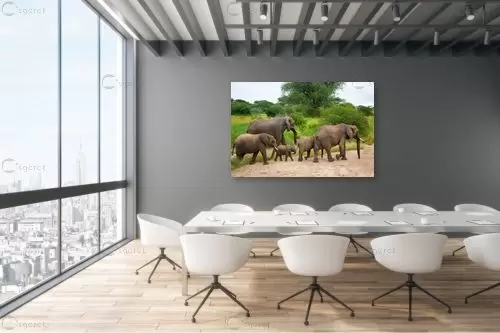 משפחת פילים בצעידה - אייל ברטוב -  - מק''ט: 430505