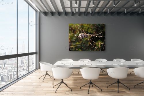 קורים זוהרים – משה יפה | תמונה לקיר בסגנון מודרני