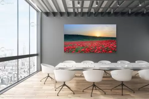 שדה פרגים - ורד גלעדי - תמונות צבעוניות לסלון נופים יפים תמונות בחלקים  - מק''ט: 438660