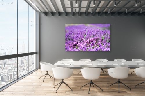 לבנדר חורפי – אורית גפני | תמונה לקיר בסגנון כפרי