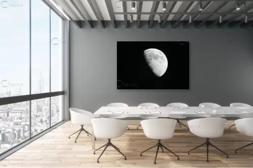 הצד המואר של הירח - משה (מוזס) בנסון - תמונות שחור לבן  - מק''ט: 444670