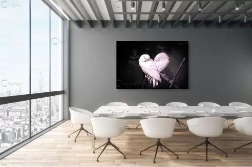love birds – רן גולן | תמונה לקיר בסגנון מודרני