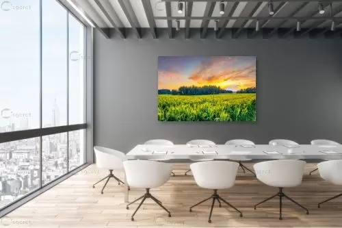 יער המגנים – מאור מלנקר | תמונה לקיר בסגנון כפרי