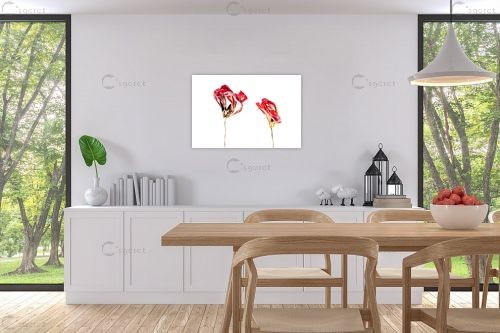 אדום - אילן עמיחי - סלון בסגנון מינימליסטי מופשט מינימליסטי  - מק''ט: 172542