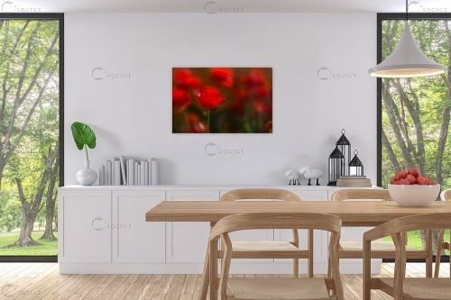 זוהרים באדום - דורית ברקוביץ - תמונות רומנטיות לחדר שינה תמונות בחלקים  - מק''ט: 262285