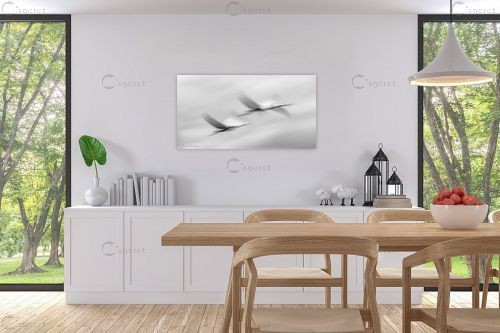 לעוף בזוג – דורית ברקוביץ | תמונה לקיר בסגנון מינימליסטי