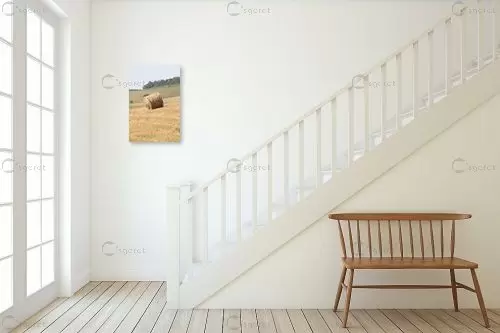 חבילת קש – דן ששתיאל | תמונה לקיר בסגנון כפרי