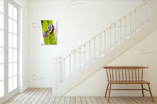 שניים – שרית סלימן | תמונה לקיר בסגנון כפרי