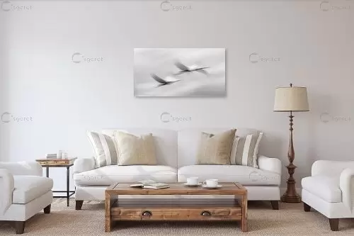 לעוף בזוג – דורית ברקוביץ | תמונה לקיר בסגנון מינימליסטי