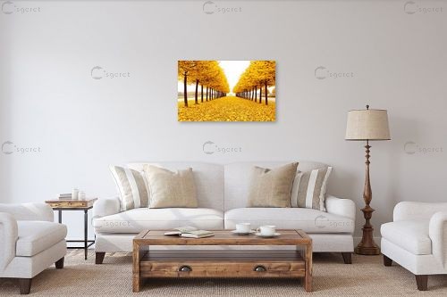 שדרת עצים מוזהבת – Artpicked | תמונה לקיר בסגנון כפרי