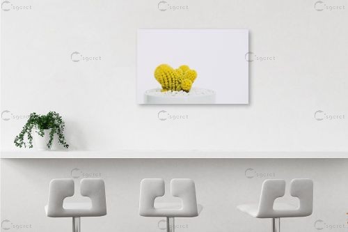 קקטוס צהוב - Artpicked - תמונות מעוצבות למשרד  - מק''ט: 329646