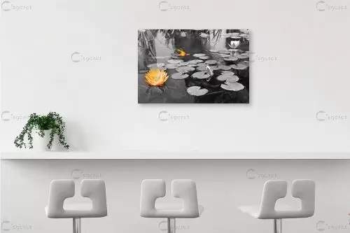 פרח ודג - אלי נגר - תמונות לחדר רחצה ספא תמונות שחור לבן הנמכרות ביותר  - מק''ט: 57346