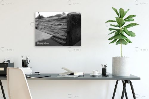 עץ ומתכת - אמיר אלון - תמונות שחור לבן  - מק''ט: 1016