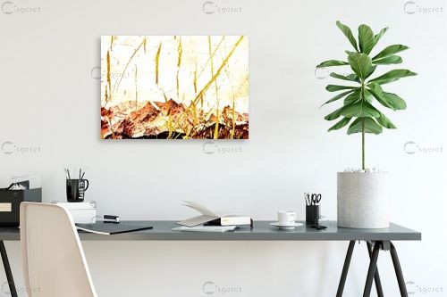 ענפים - רוזה לשצ'ינסקי - תמונות לסלון מודרני נוף וטבע מופשט  - מק''ט: 204271