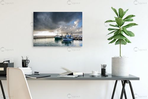 הסערה באה – רן זיסוביץ | תמונה לקיר בסגנון מודרני