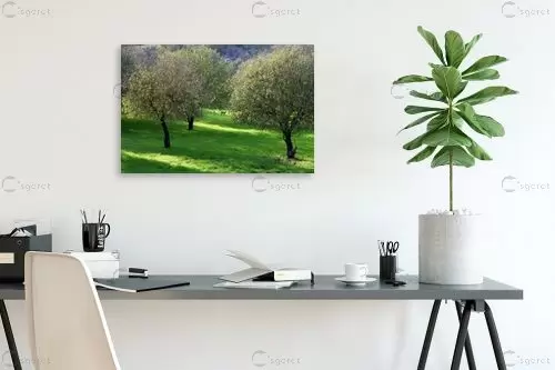 מראה גלילי – מיכל פרטיג | תמונה לקיר בסגנון כפרי