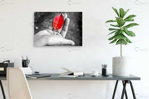 עלה – אילן עמיחי | תמונה לקיר בסגנון מודרני