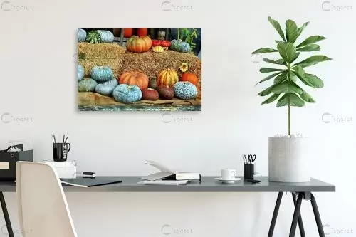 דלעות – שוש אבן | תמונה לקיר בסגנון כפרי