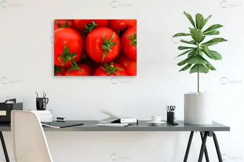 עגבניות - טניה קלימנקו -  - מק''ט: 286650