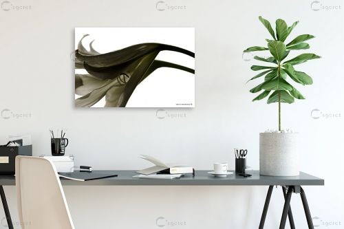 זוג – שרית סלימן | תמונה לקיר בסגנון מודרני