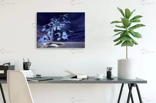 כחול - רעיה גרינברג - תמונות ים ושמים לסלון  - מק''ט: 85312