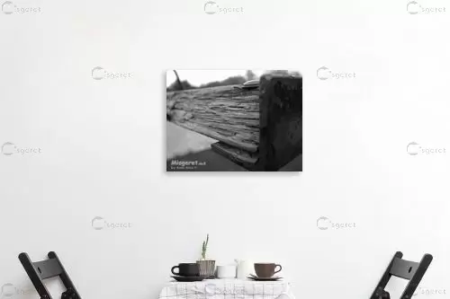 עץ ומתכת - אמיר אלון - תמונות שחור לבן  - מק''ט: 1016